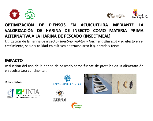 Optimización de piensos en acuicultura mediante la valorización de harina de insecto como materia prima alternativa a la harina de pescado (INSECTMEAL)